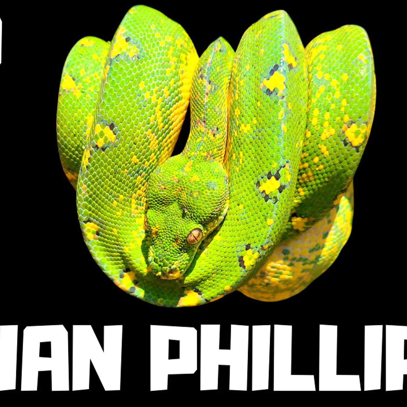 #159 BRIAN PHILLIPS | GREEN TREE PYTHONS | NEW BREEDER ON THE BLOCK SERIES | TRAP TALK