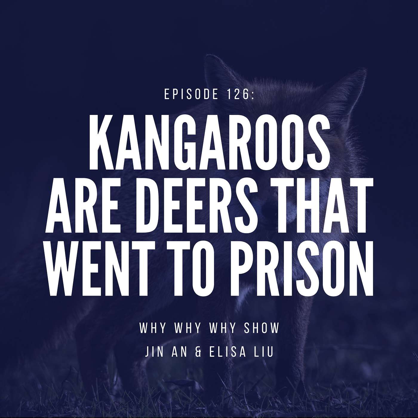126: Kangaroos are Deers that Went to Prison (A Japan Special!)