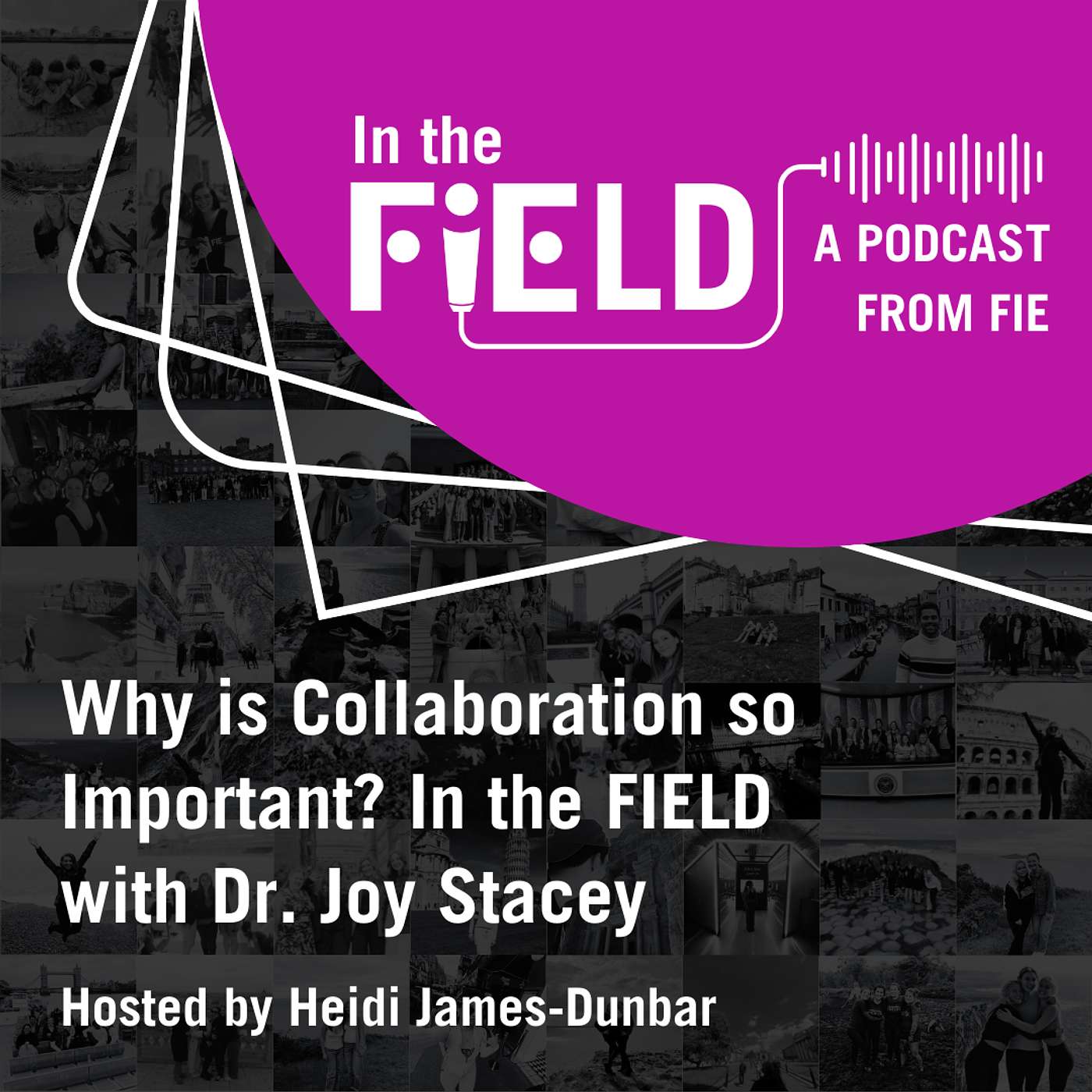 Episode 4: Why is Collaboration so Important? In the FIEld with Dr Joy Stacey episode artwork