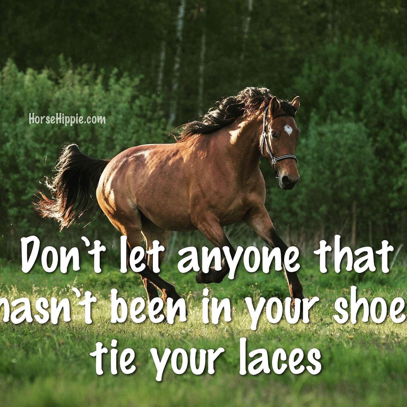 They’re YOUR Shoes