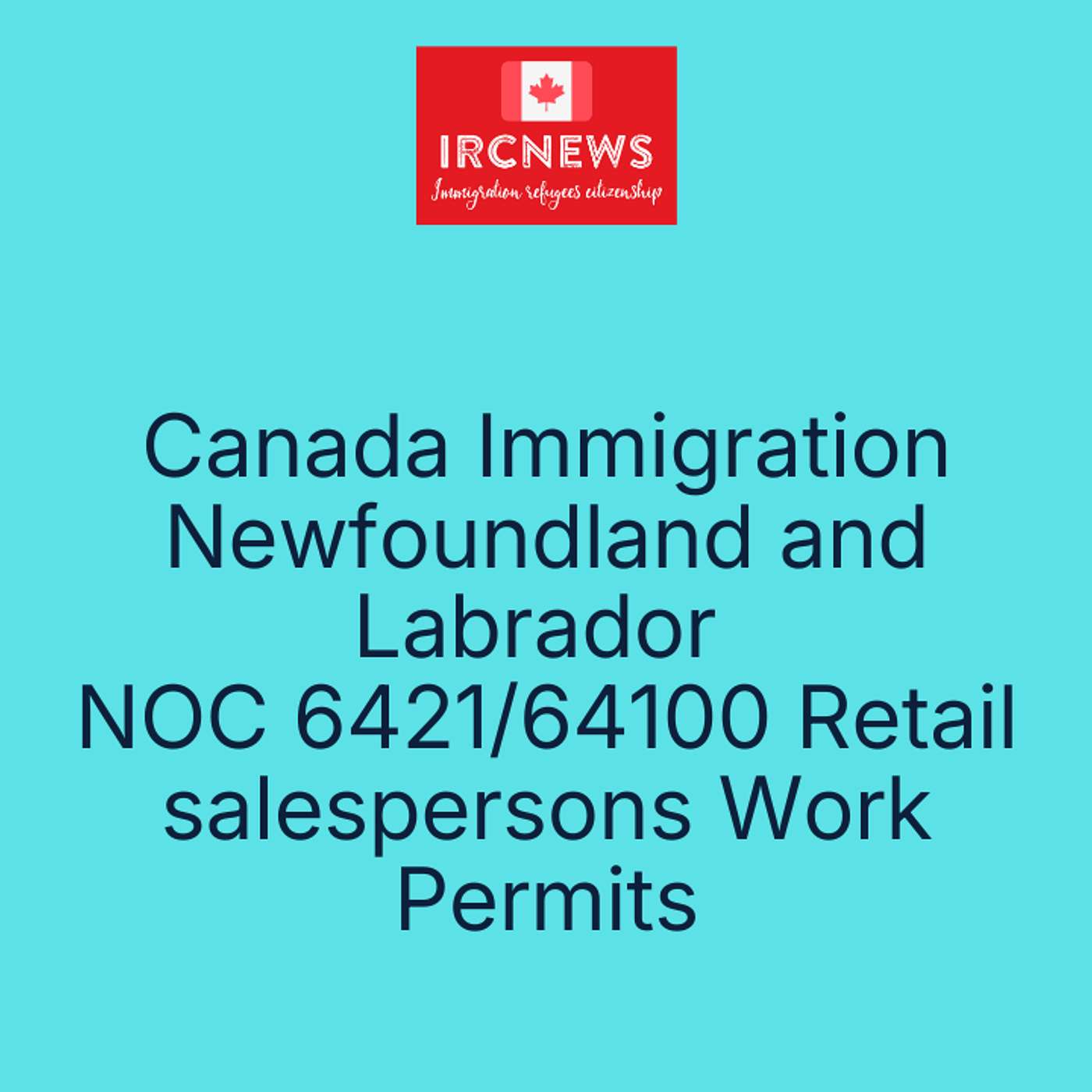 Canada Immigration Newfoundland and Labrador NOC 6421/64100 Retail salespersons Work Permits episode artwork