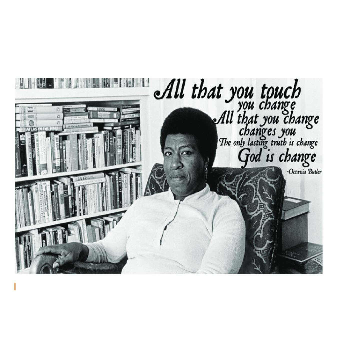 Tuesday, November 19, 2024 - Look up there in the sky ... it's a bird, no, it's a plane, no, it's Supervocalic!