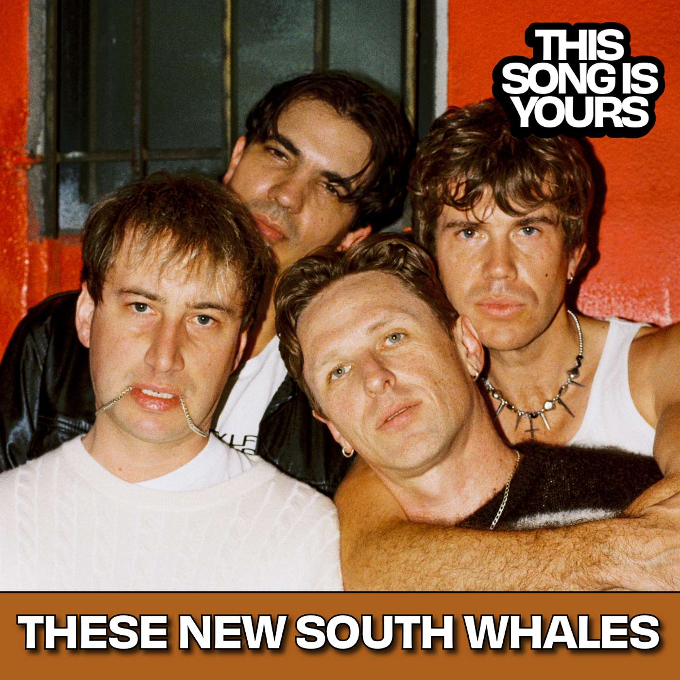These New South Whales 2.0 episode artwork