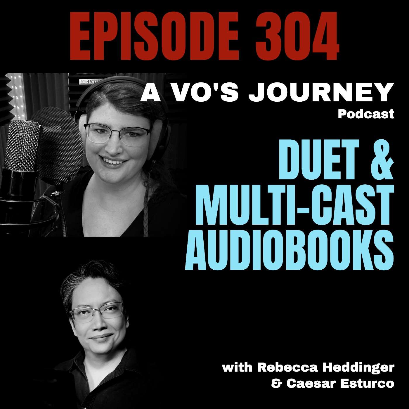 Ep. 304 - Duet vs Multi-Cast Audiobooks: How Duet Narration Really Works episode artwork