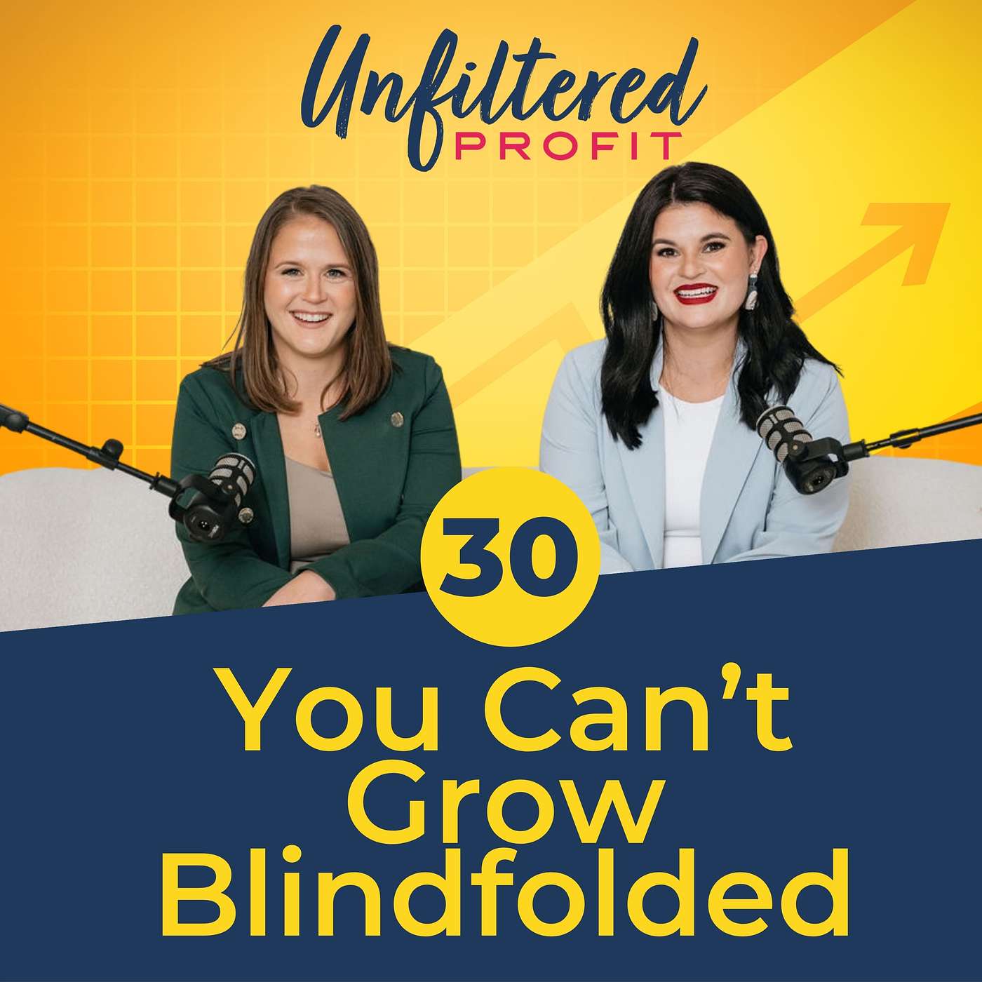 You Can’t Grow Blindfolded episode artwork