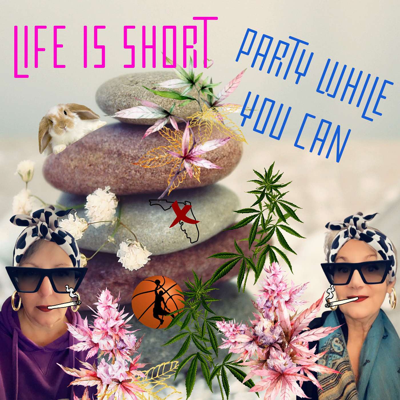Cannabis, Hot Flashes & Hell-Raising for Women Over 50 | Life is Short, Party While You Can . . . and Hide Things episode artwork