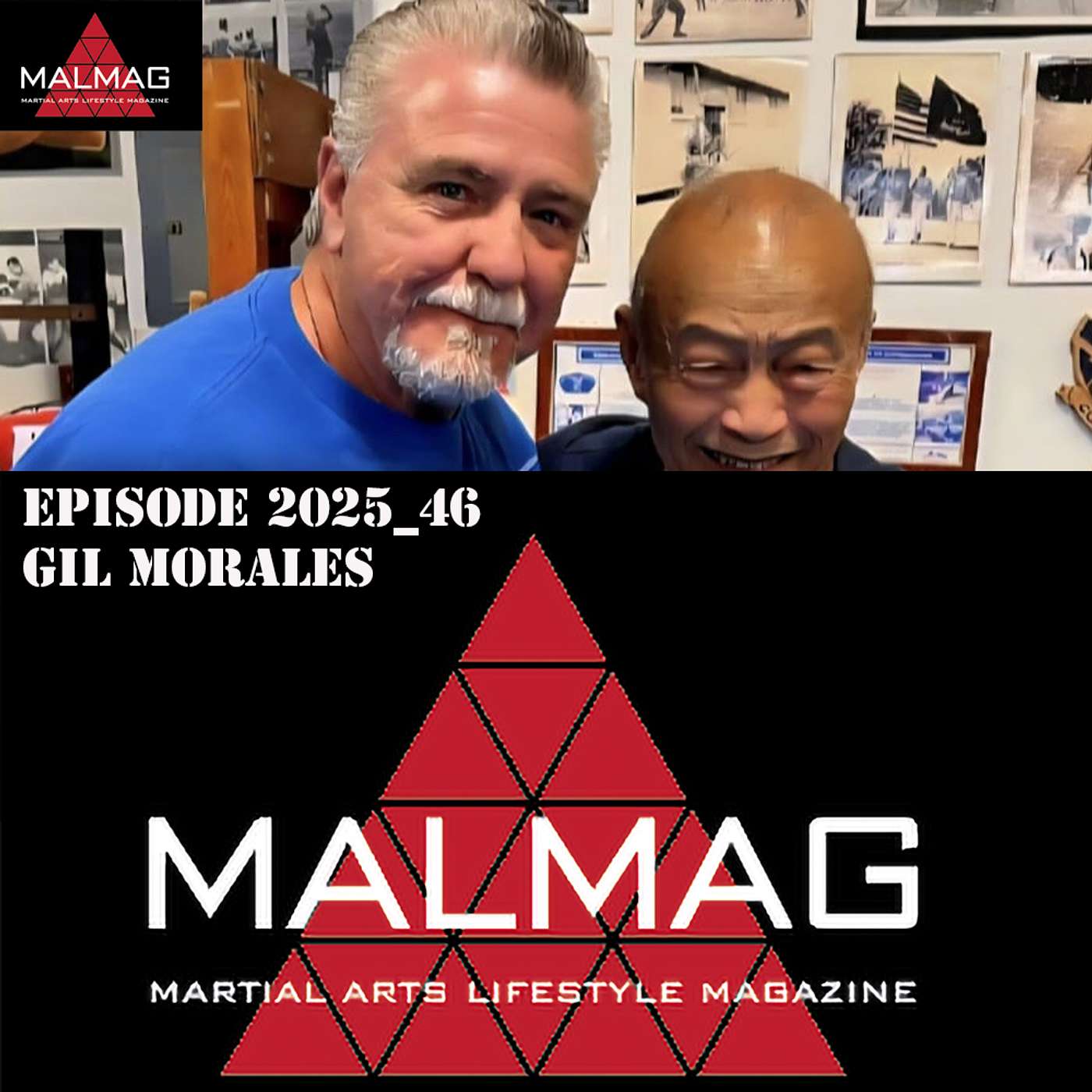 The Martial Arts Lifestyle Podcast
