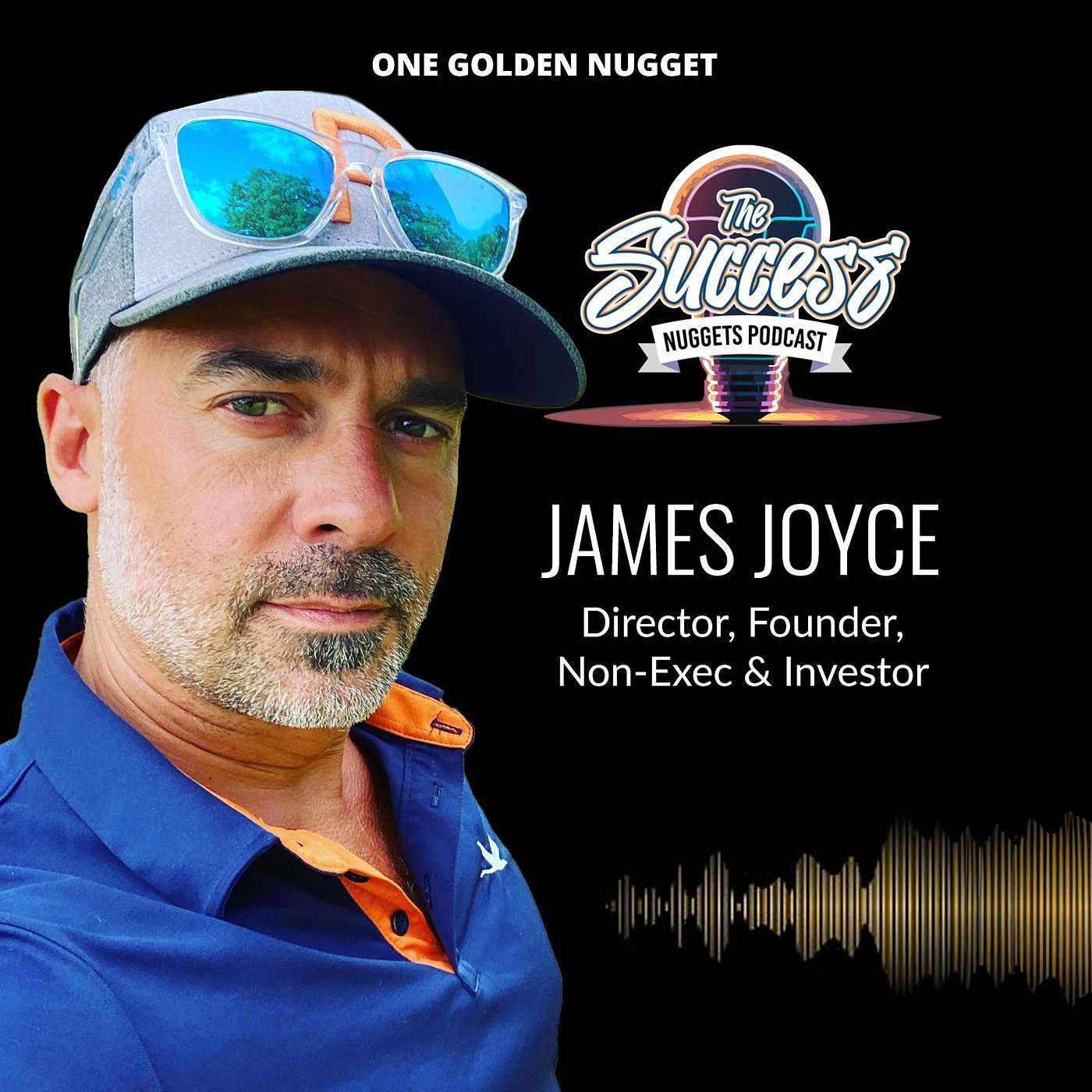 The Success Nuggets