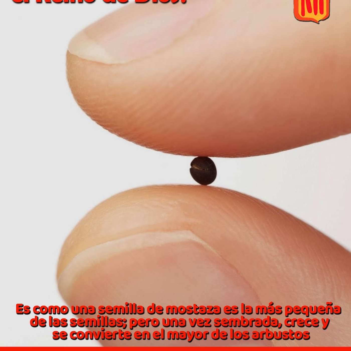 2024-01-26 San Marcos 4, 26-34 Fiesta Santos Timoteo y Tito