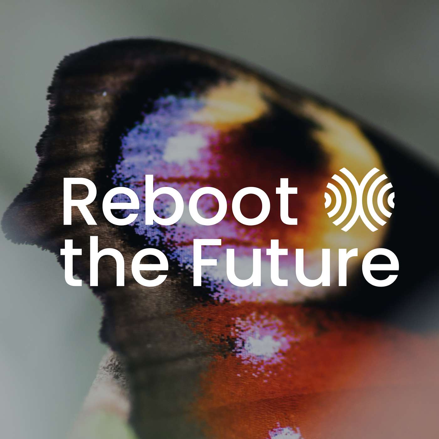 April's Answer | Listen to Kim Polman April's Answer | Listen to Kim Polman