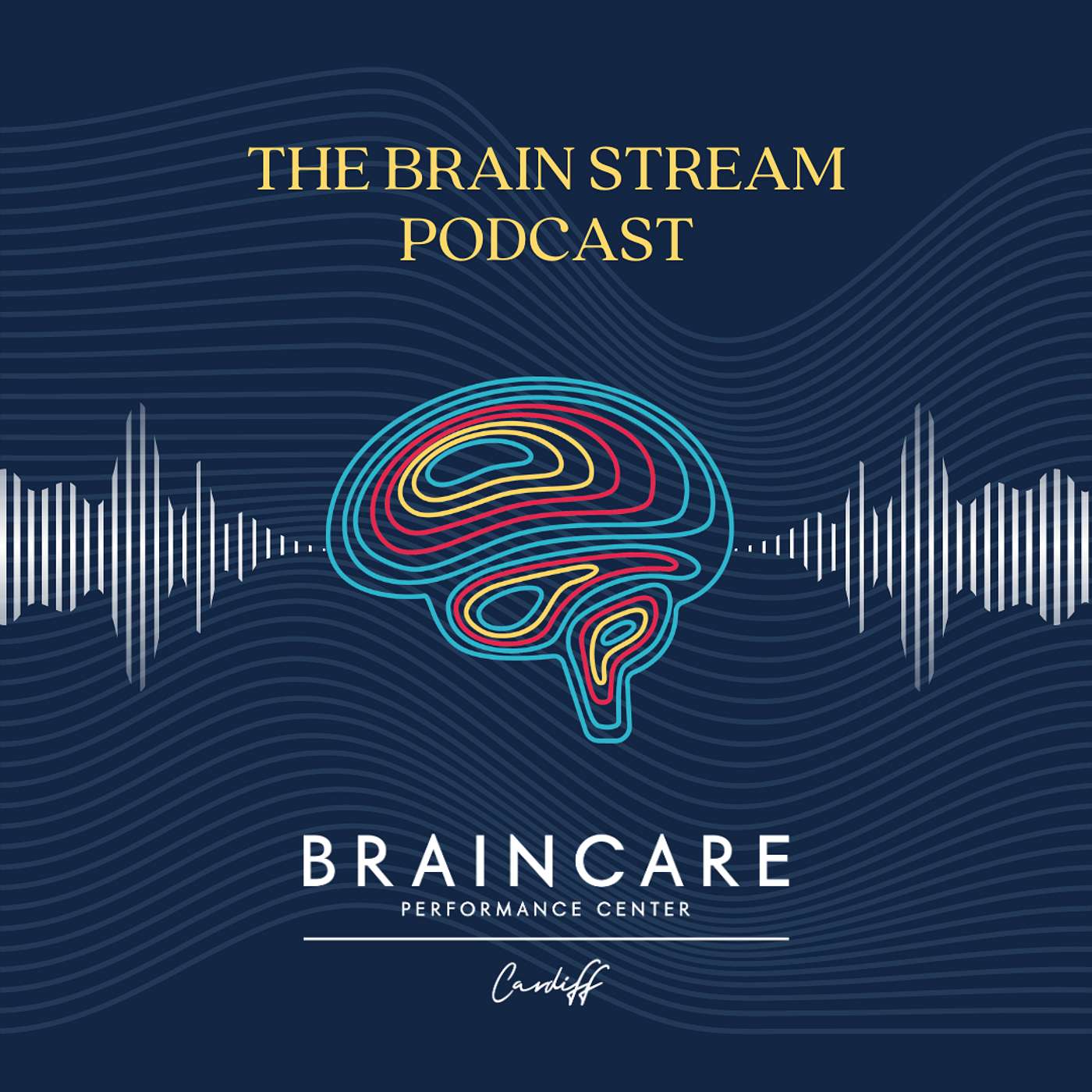 The Brainstream Podcast
