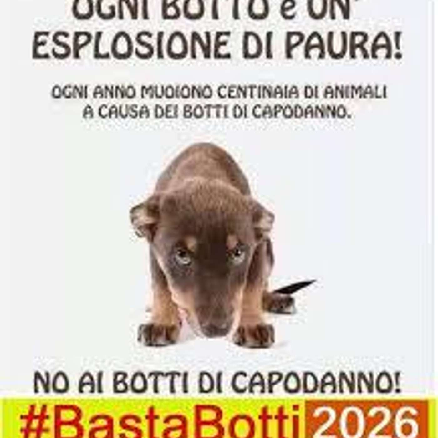 Anatomia dell'orecchio: chissà se servirà a far capire che i botti sono nocivi? di Lucia Orlandi Anatomia dell'orecchio: chissà se servirà a far capire che i botti sono nocivi? di Lucia Orlandi