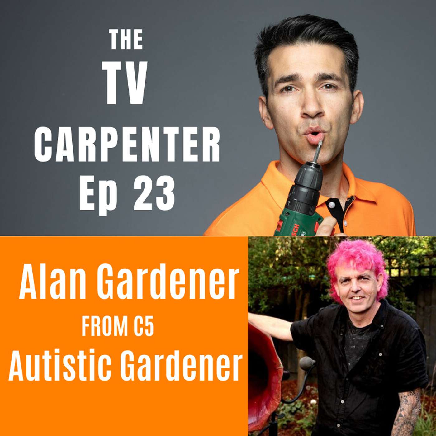 THE TV CARPENTER : Home Makeovers with Wayne Perrey