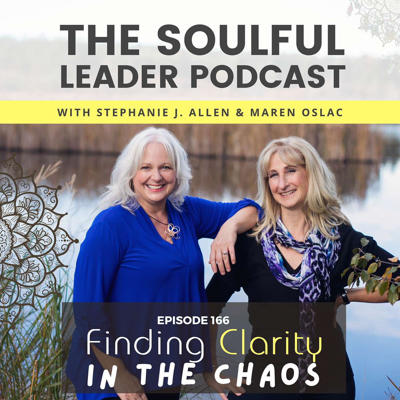 Finding Clarity in the Chaos