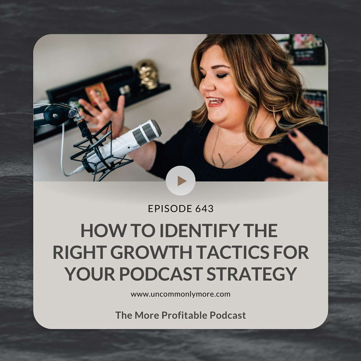The More Profitable Podcast with Stacey Harris