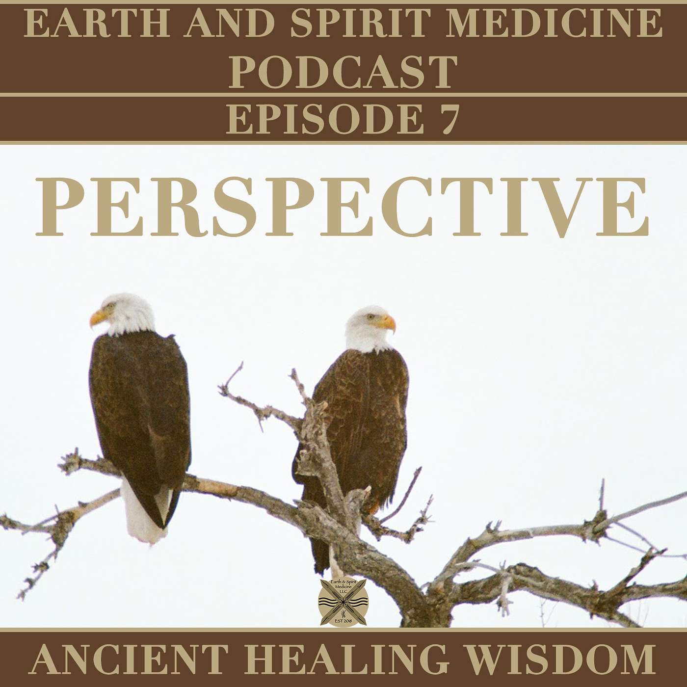 Earth and Spirit Medicine Ancient Healing Wisdom