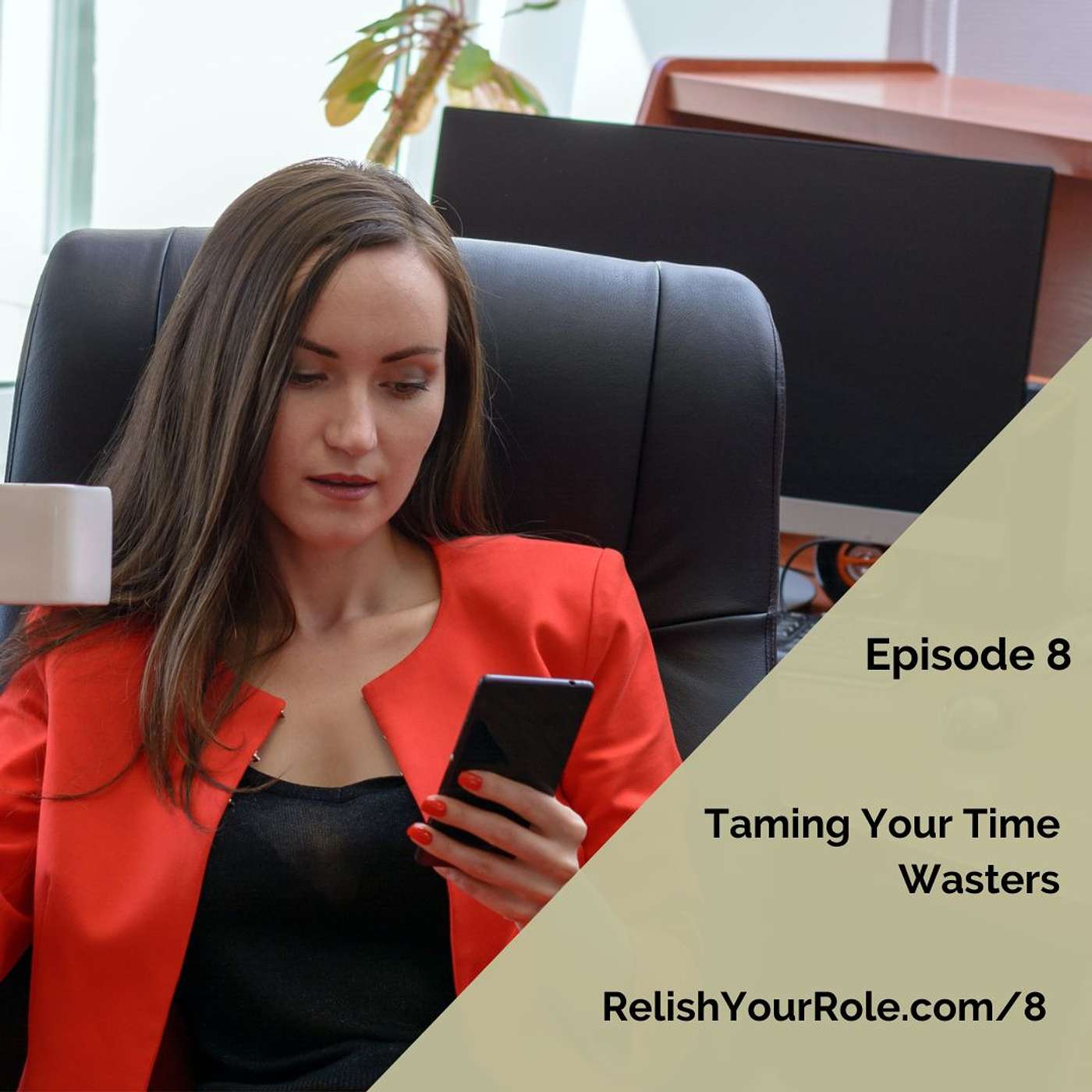8. Taming Your Time Wasters episode artwork