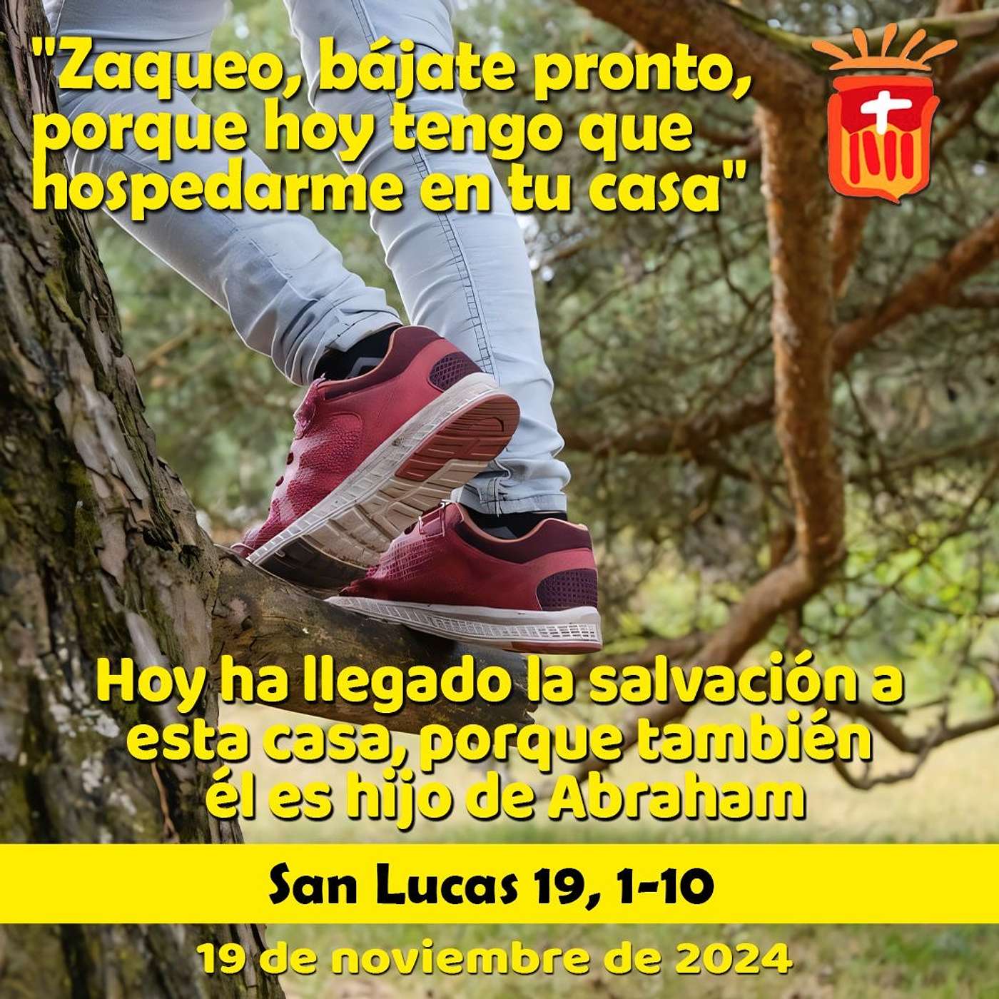 2024-11-19 San Lucas 19, 1-10: Martes XXXIII Ordinario