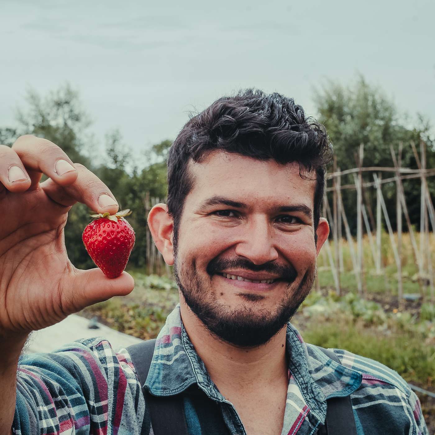 334 Andres Jara - Walking the land of market garden De Stadsgroenteboer with a regenerative farmer