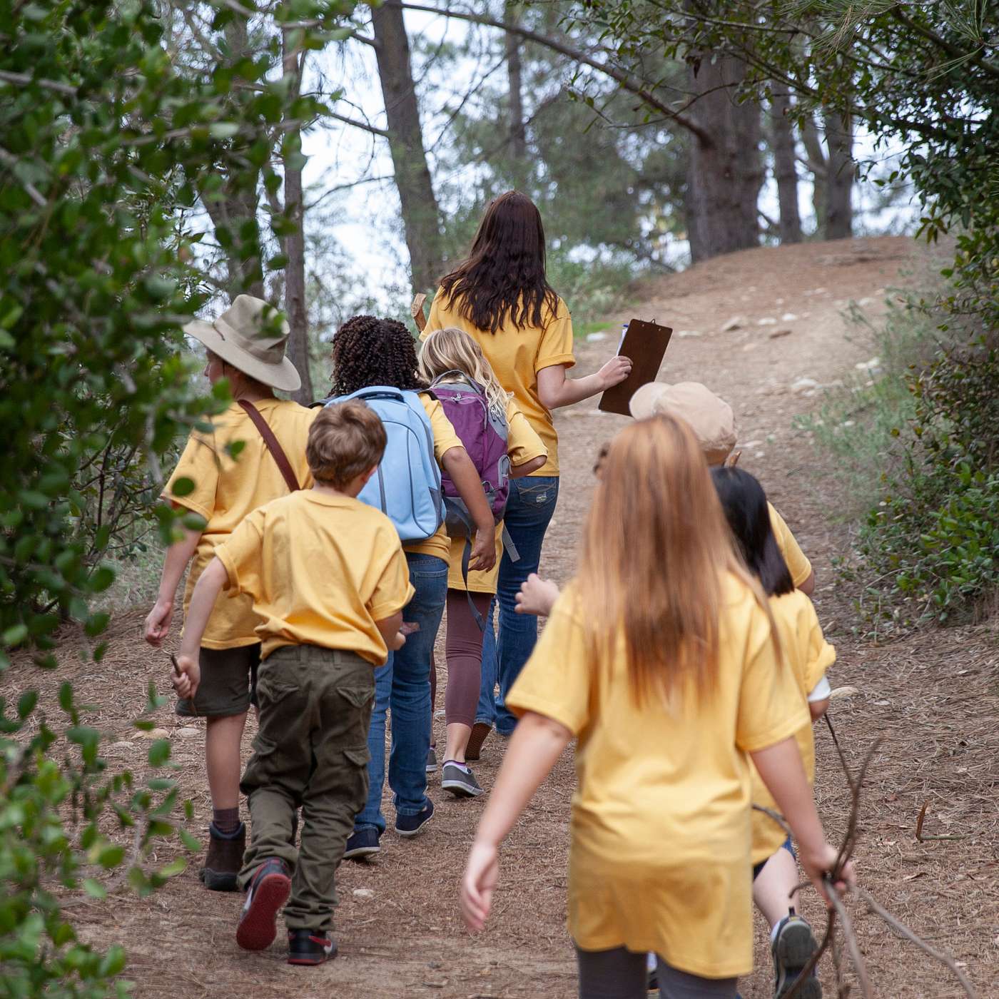 Education in Focus - School Trips and Residentials: Supporting Adopted Children episode artwork