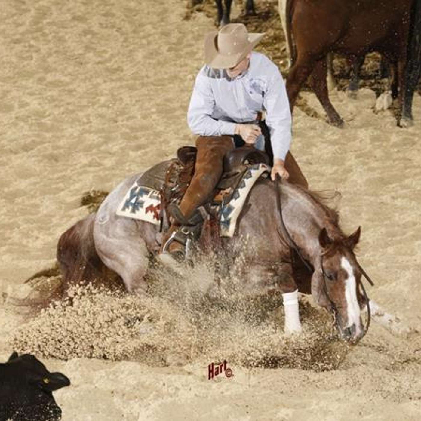 BCHA's JIM McGARVEY and AQHA's VP CRAIG HUFFINES on EQUESTRIAN LEGACY RADIO