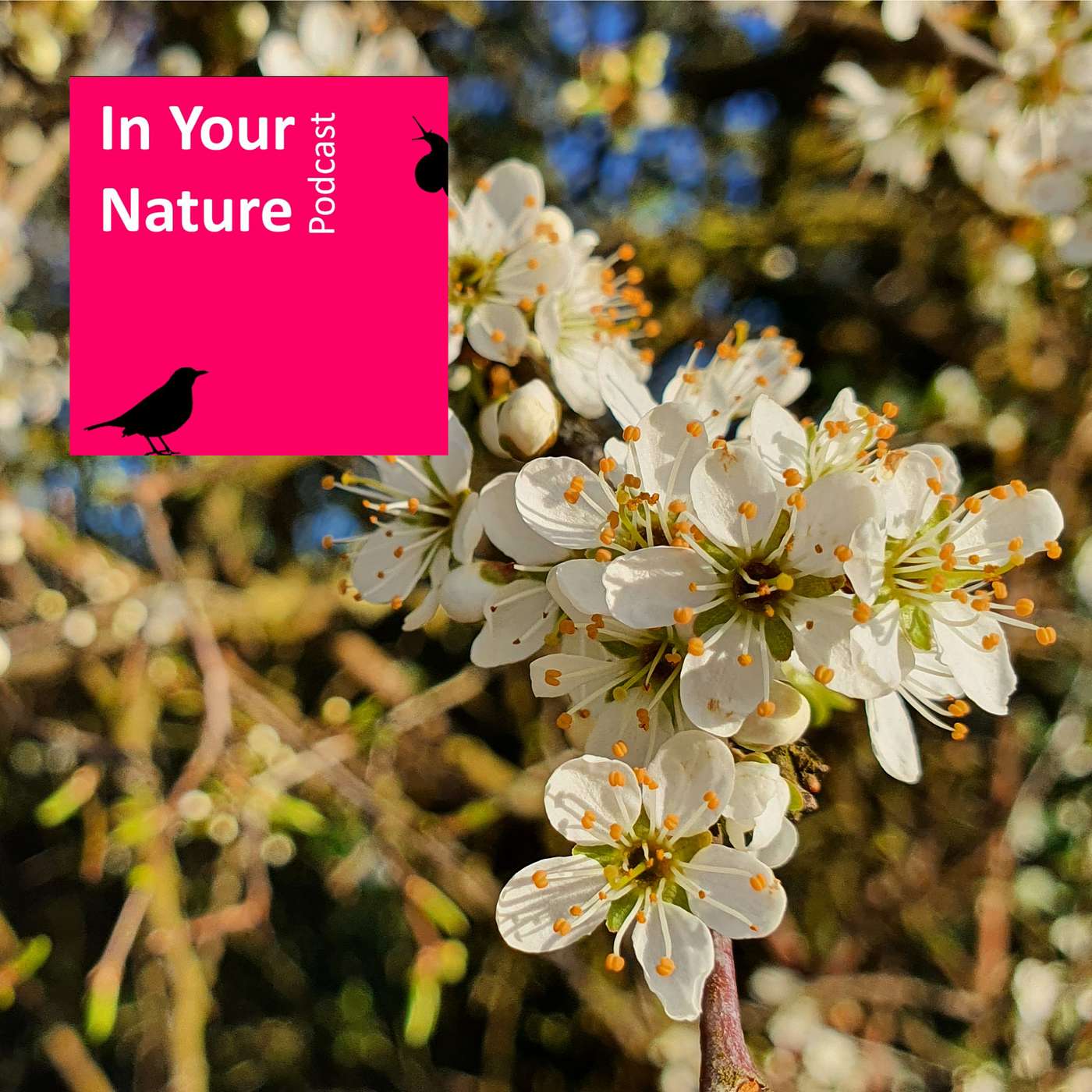 In Your Nature