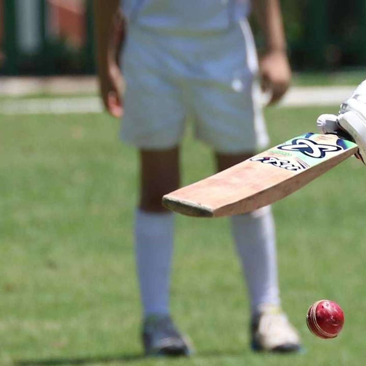 Youth Cricket Nets Dubai: Train Like a Pro and Level Up Your Game!