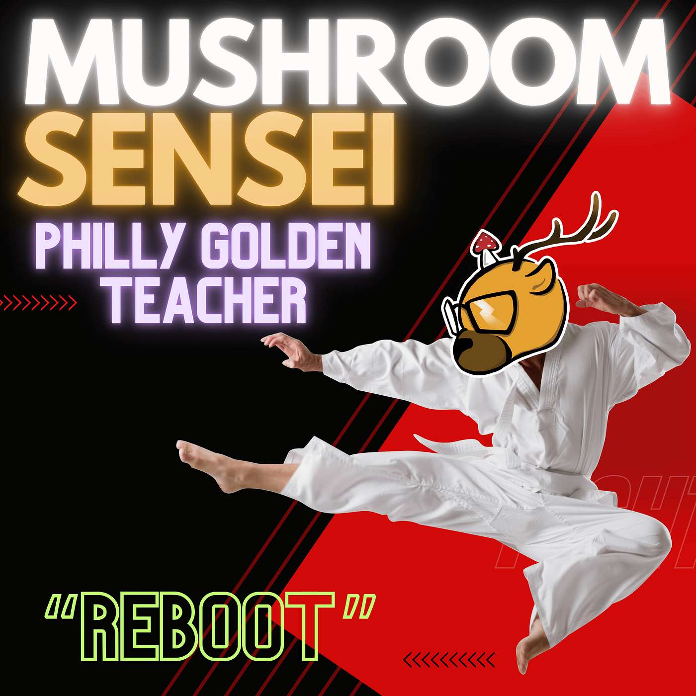 The MycoGeeky Podcast
