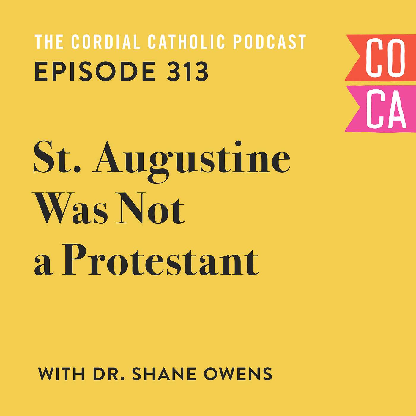 313: St. Augustine Was Not a Protestant! (w/ Dr. Shane Owens)