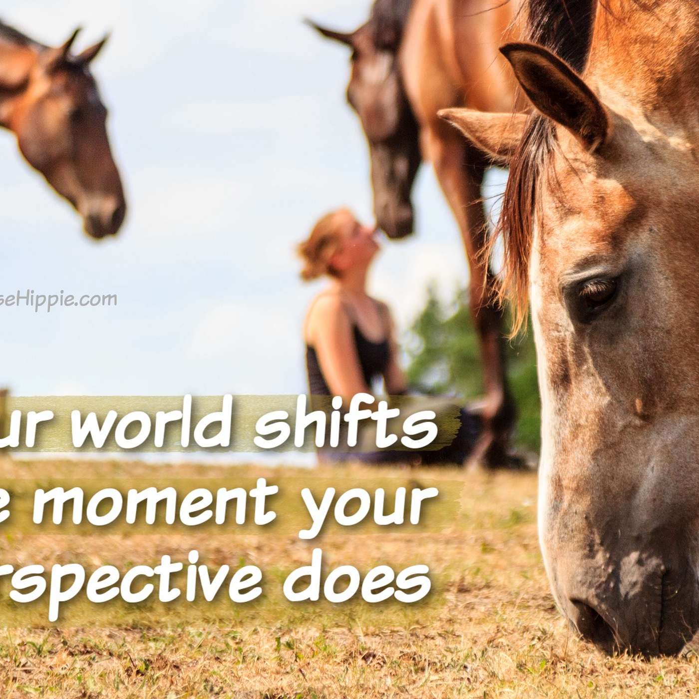 Joy is a Daily Decision