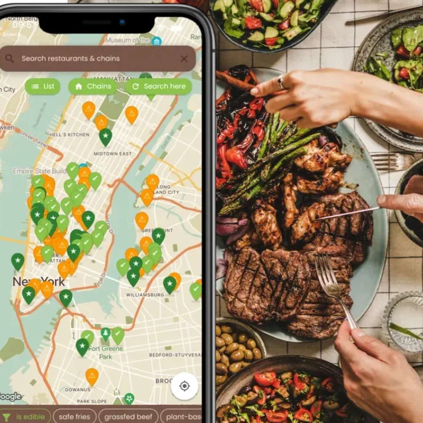 A Conversation with the Developer of the Seed Oil Scout App! 494