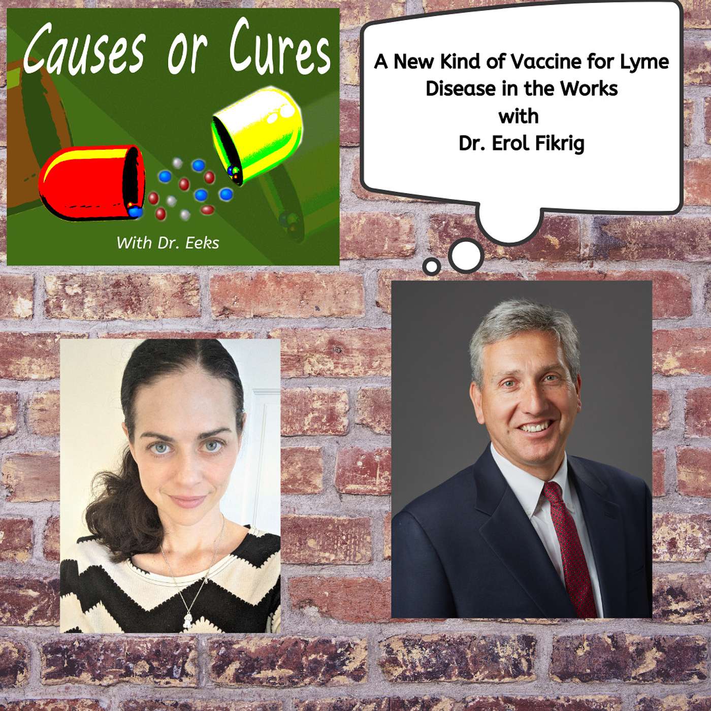 A mRNA vaccine for Lyme Disease is in the Works: With Dr. Erol Fikrig