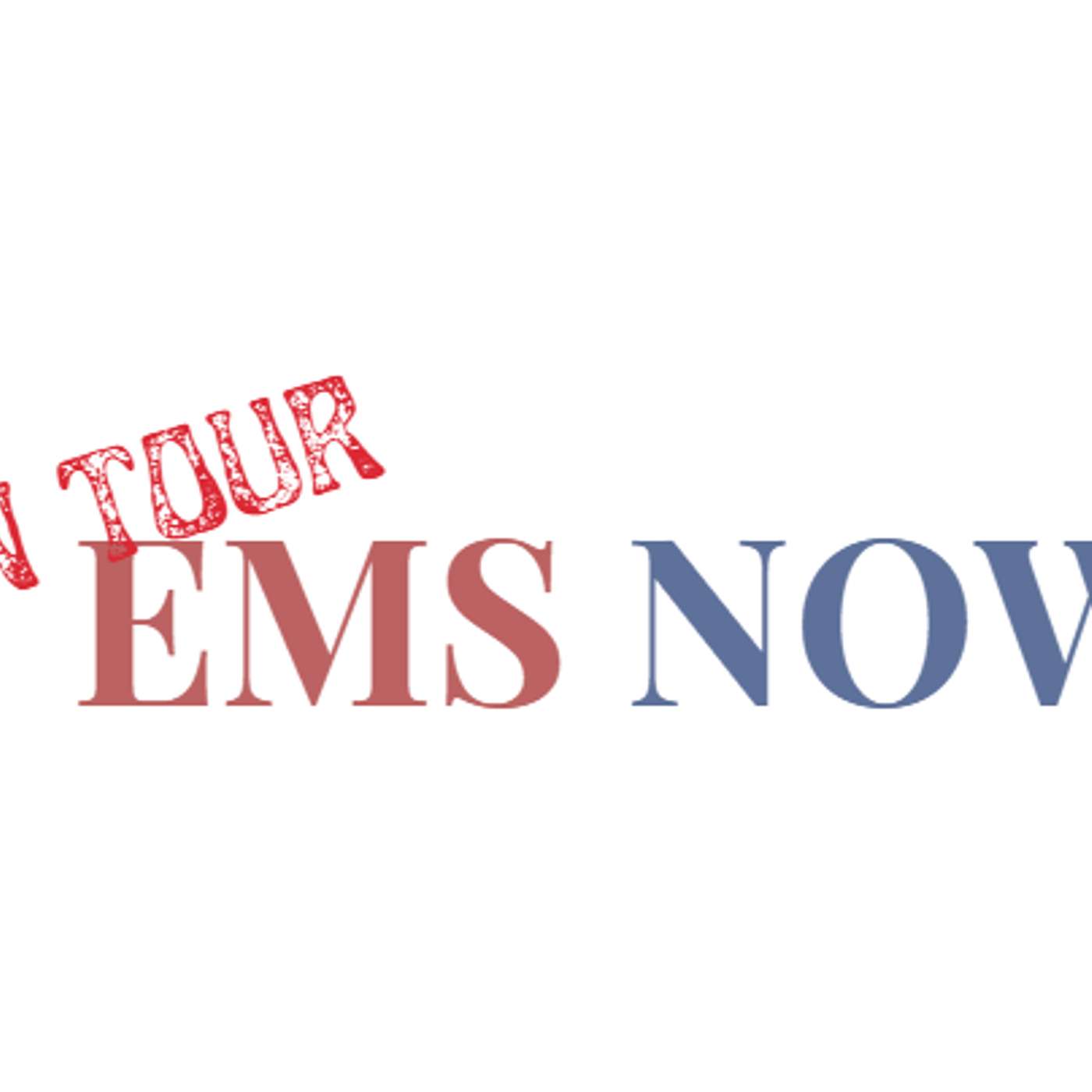 EMSNOW On Tour: India Podcast 3 - Syrma SGS