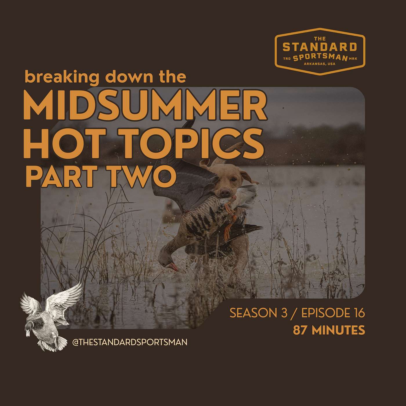 Breaking Down the Midsummer Hot Topics, Part 2 episode artwork