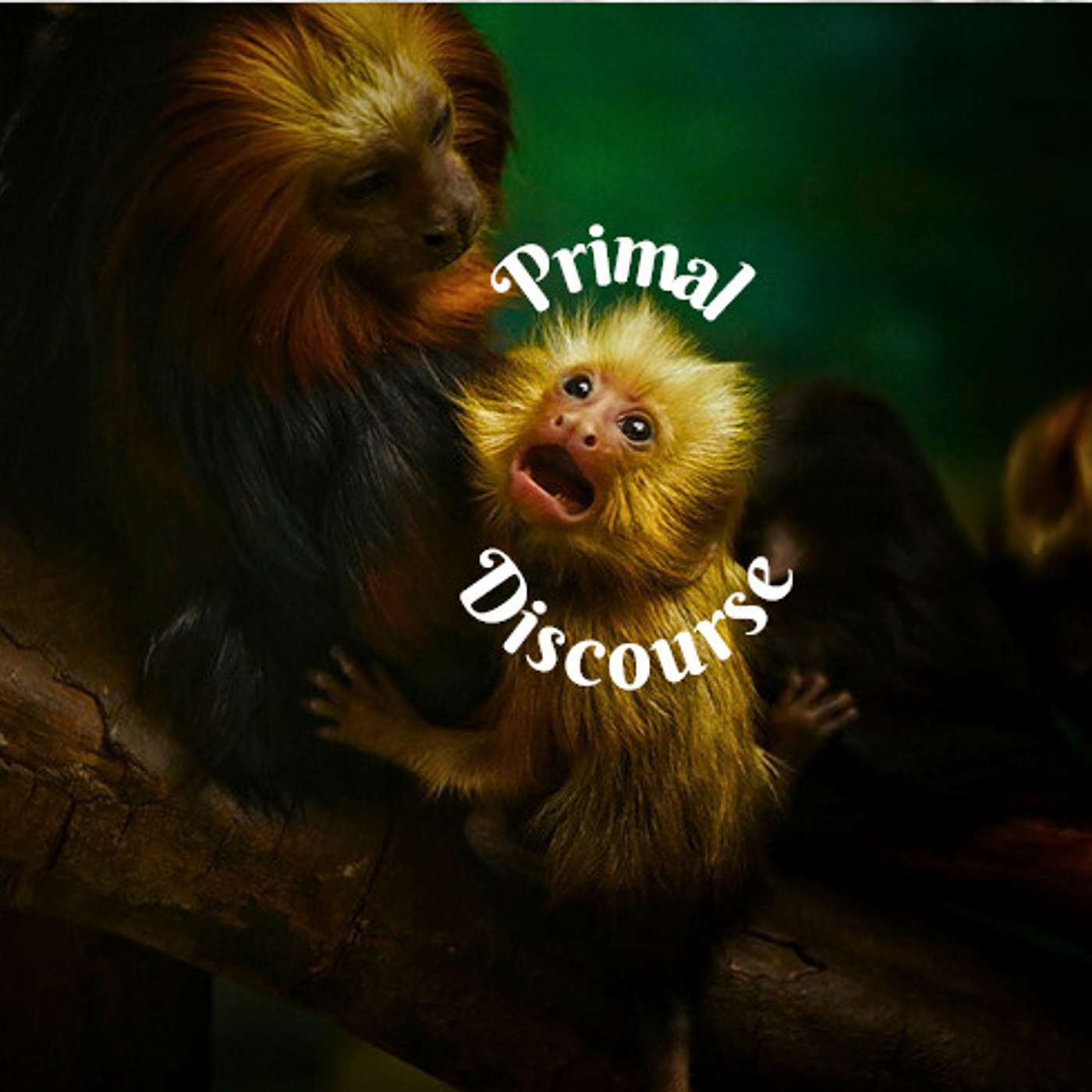 Primal Discourse