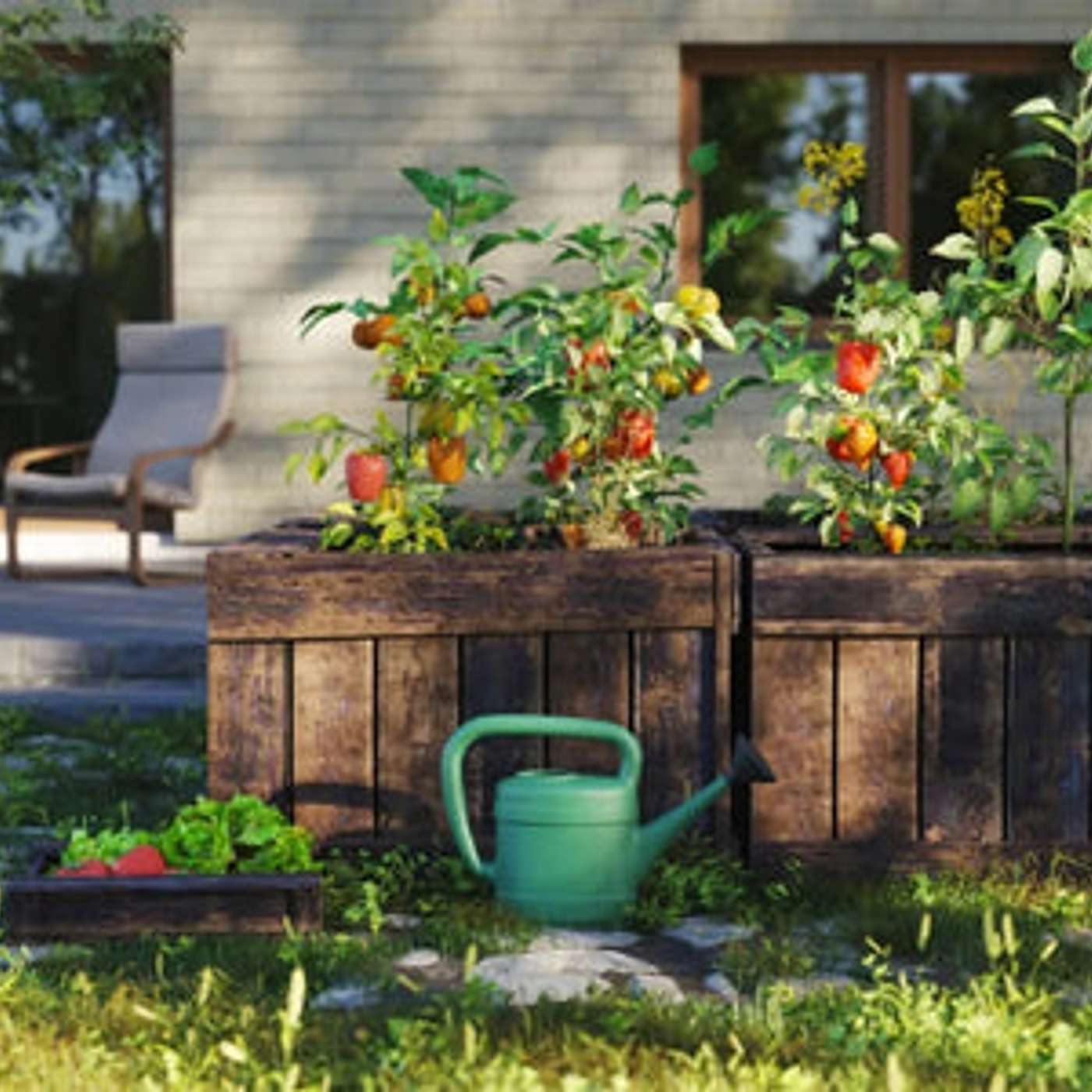 How to Protect Your Raised Bed from Pests