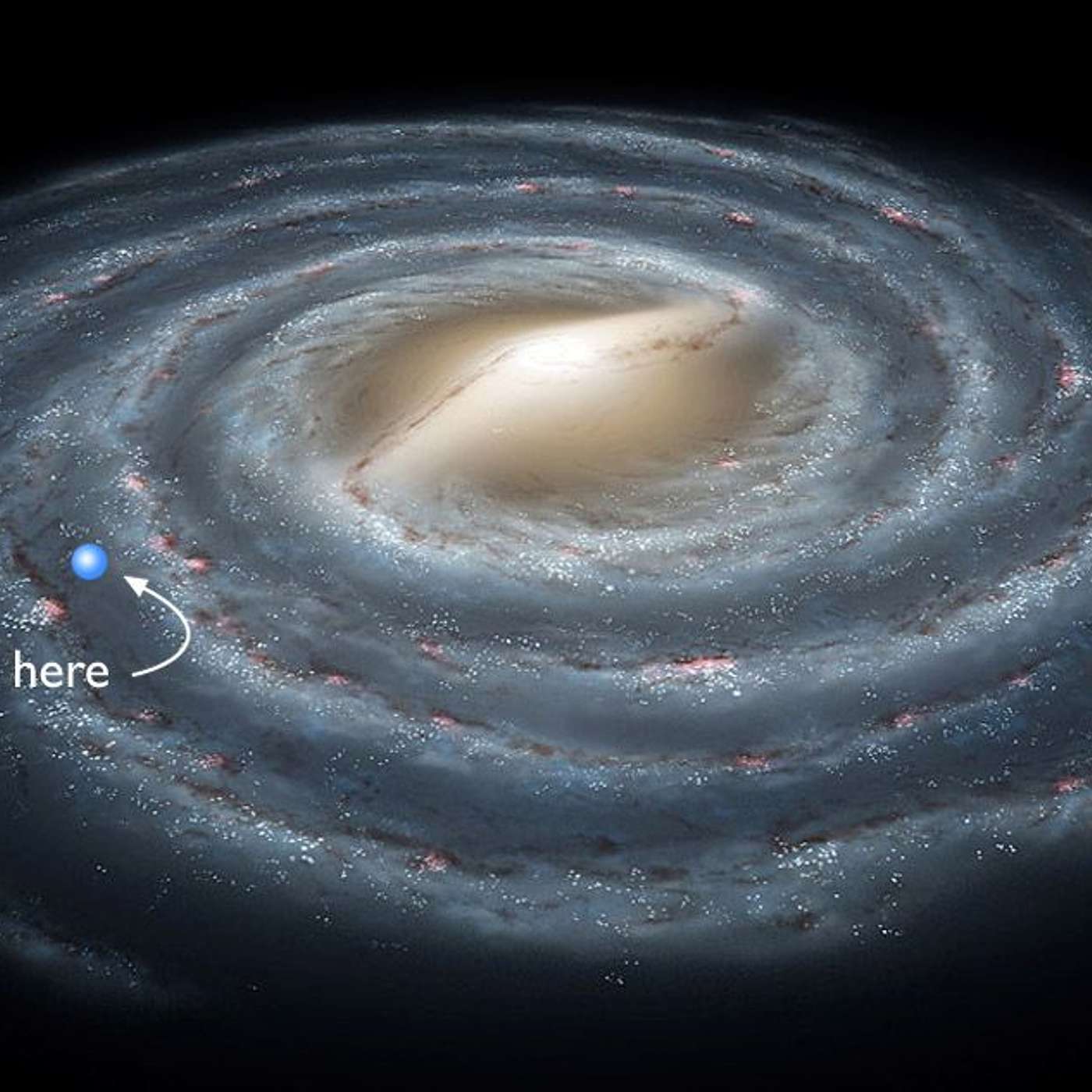 31. How life is connected to the universe: Exploring life in the universe Part 1
