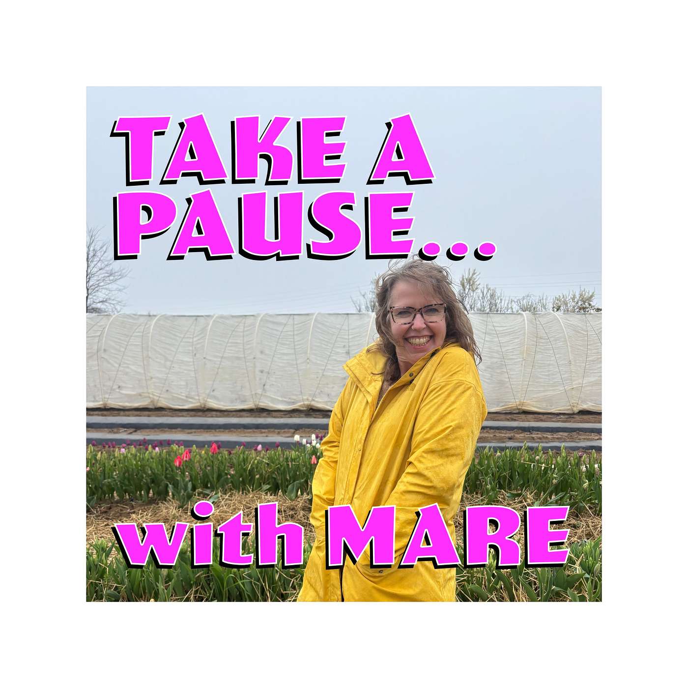 Episode 2 And Just Like That vs Sex in the City with Menopause episode artwork