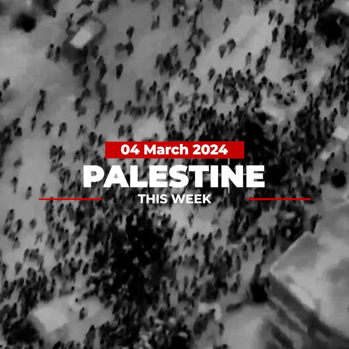 Palestine This Week
