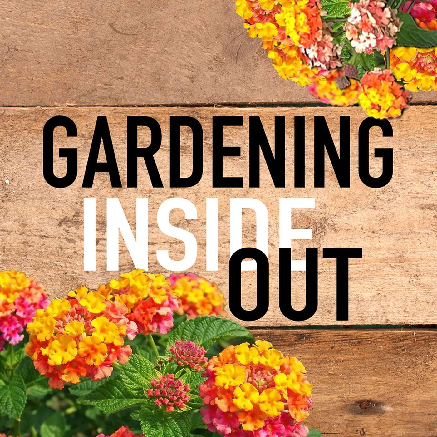 Ep. 133 | Miss Huff Lantana, Growing potatoes in TN, Washington Hawthorn | Feb 14