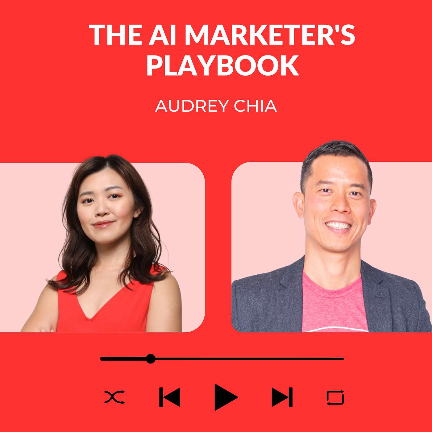 The AI Marketer\'s Playbook