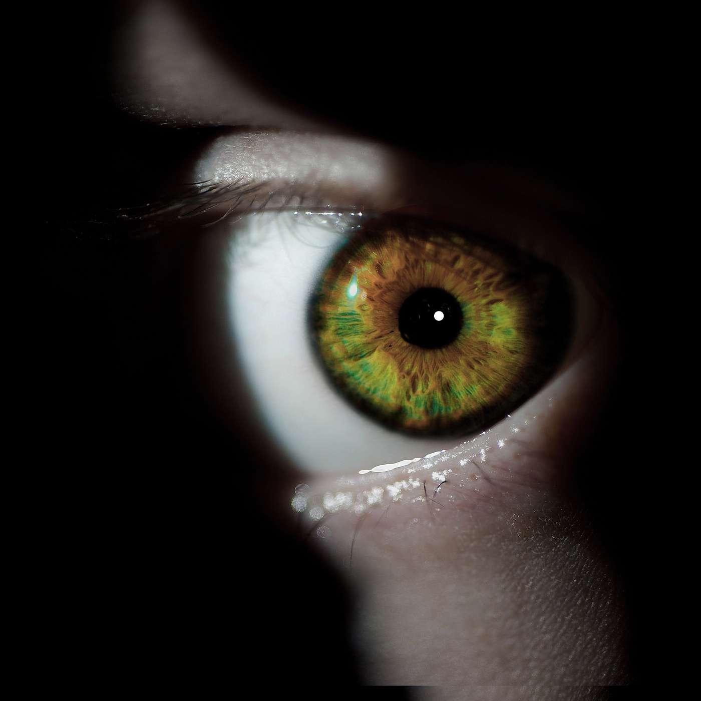 3Worlds - The Shamanism Podcast