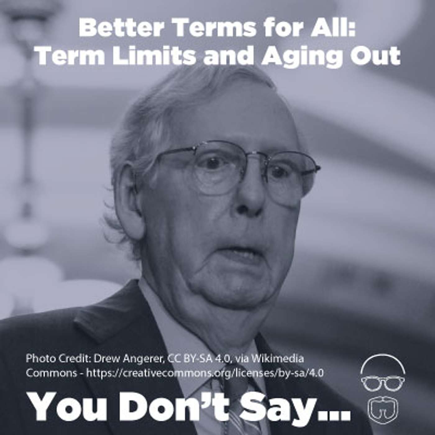 Better Terms for All : Term Limits and Aging Out