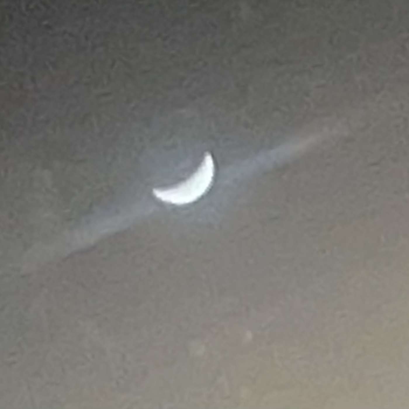 Moonlit; Love is such a Beautiful thing