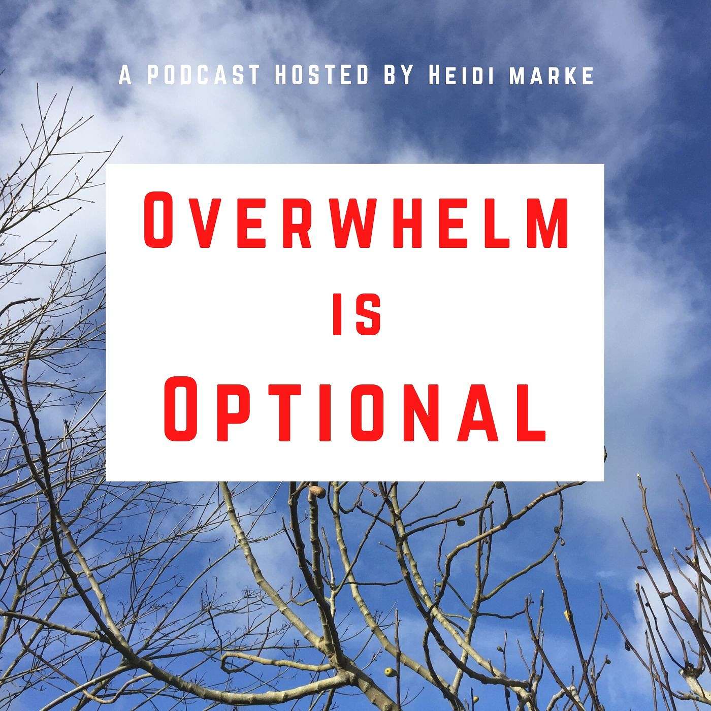 Episode 2: How can we use lockdown to reduce overwhelm?