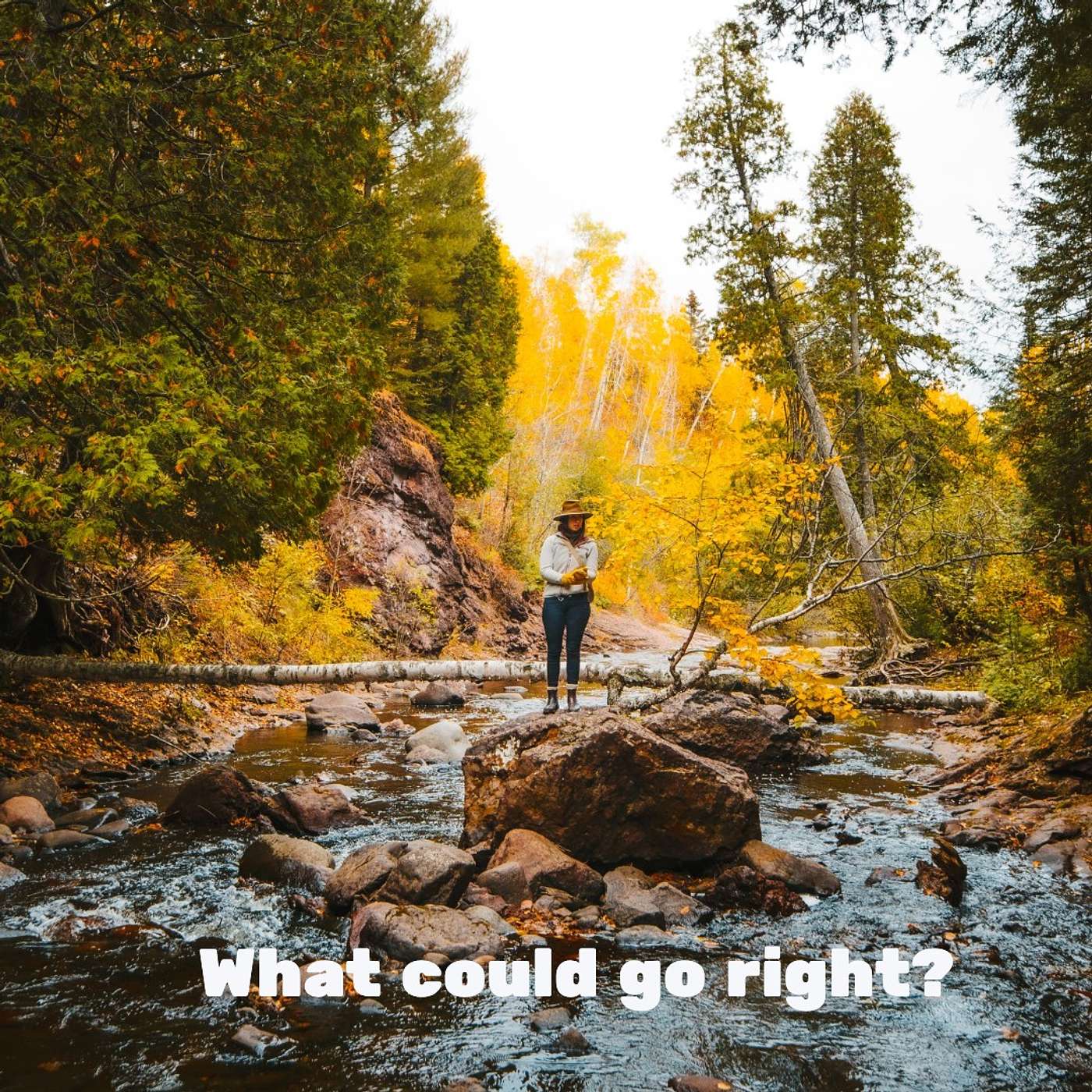 # 93 What could go right? episode artwork
