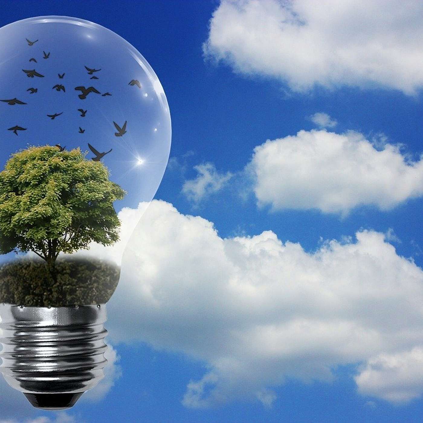 BCP Episode 20 - Resilience in Renewables, the Community & Education