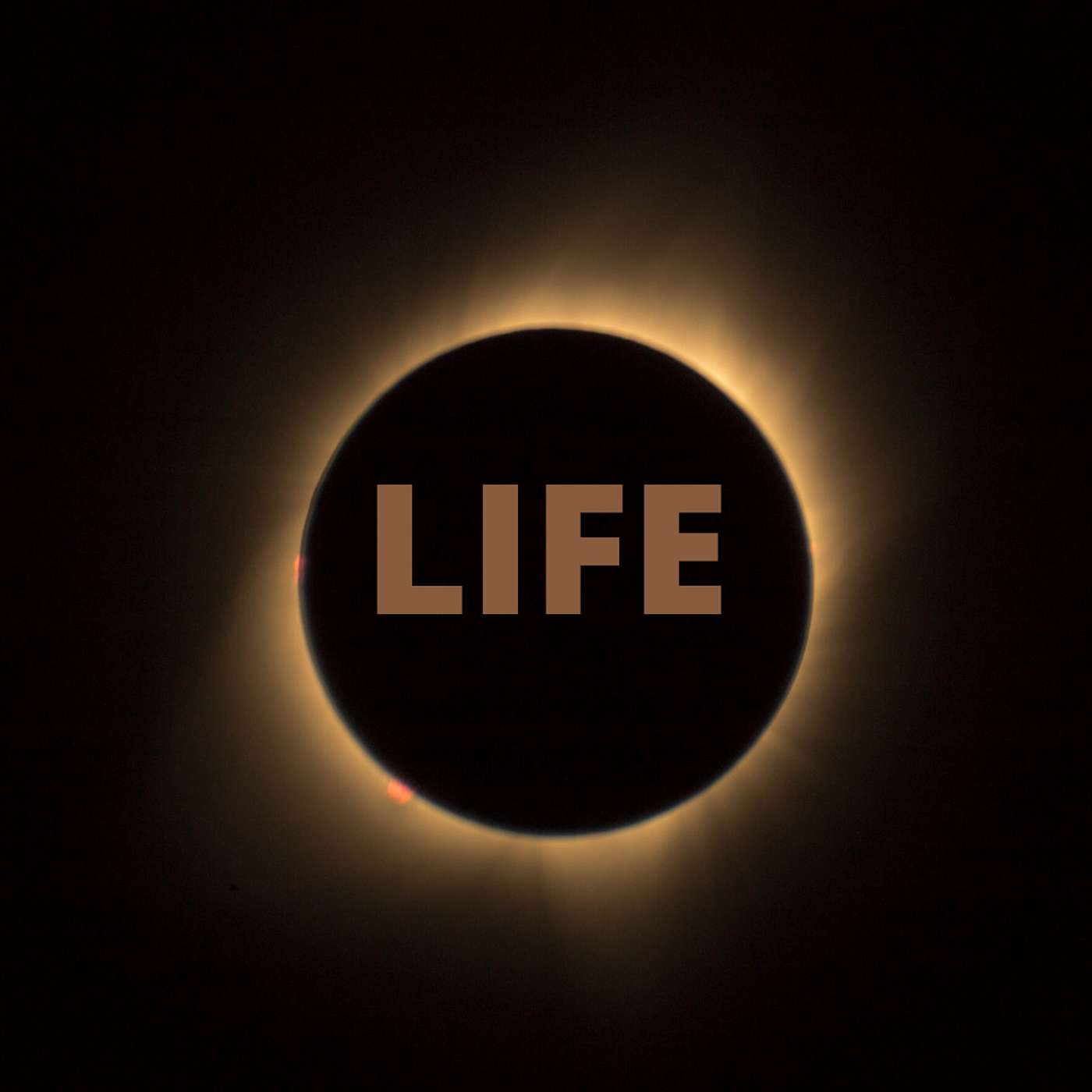 LIFE.