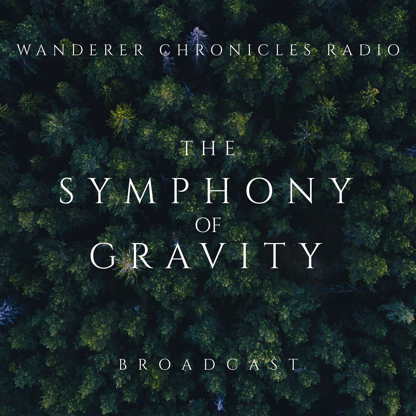 THE SYMPHONY 0F GRAVITY - CONCLUSION | Sci-Fi Audio Podcast | WANDERER CHRONICLES RADIO