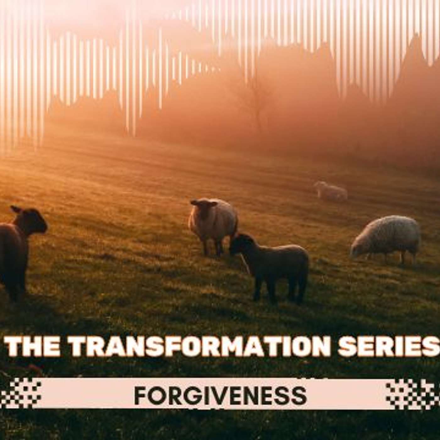 The Transformation Series: Forgiveness